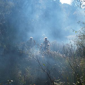 Bilder Räuber Kneißl