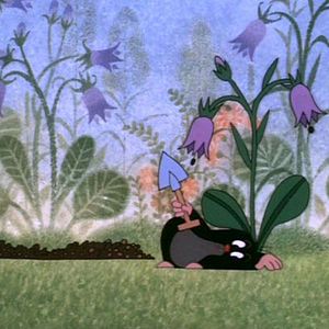 Bilder Zdeněk Miler