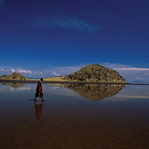Bilder Das Geheimnis der Flamingos