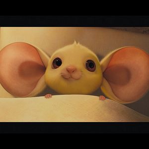 Bilder Robert Stevenhagen