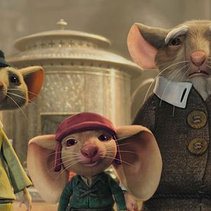 Bilder Robert Stevenhagen