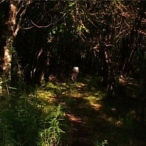 Bilder Gustavo Fontán