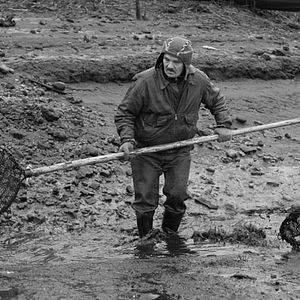 Bilder Laila Pakalniņa