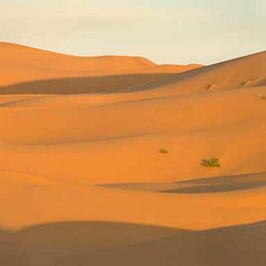 Bilder Prince Of Persia - Der Sand der Zeit