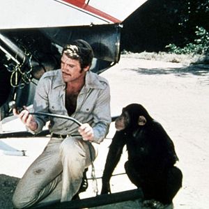 Bilder Der 6-Millionen-Dollar-Mann