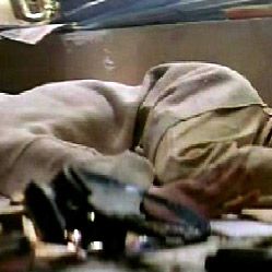 Bilder Sagamore Stévenin