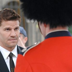 Bilder David Boreanaz