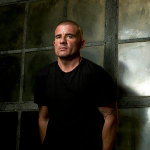 Bilder Dominic Purcell
