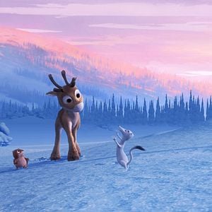 Bilder Michael Hegner