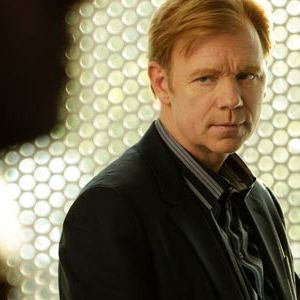 Bilder David Caruso