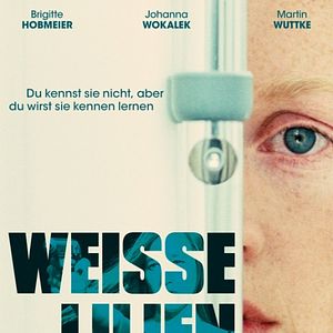 Bilder Weiße Lilien