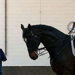 Bilder Nobody's Perfect