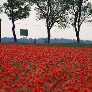 Bilder Andreas Dresen