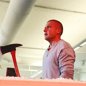 Bilder Dominic Purcell