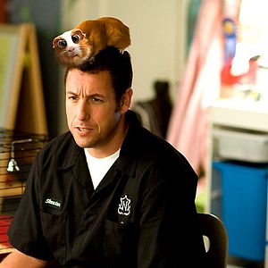 Bilder Adam Shankman