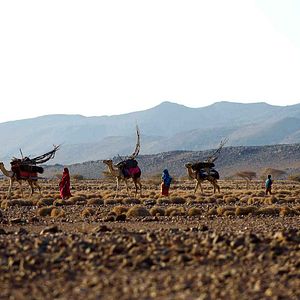 Bilder Sherry Hormann