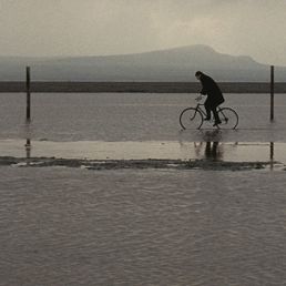 Bilder Aleksey German