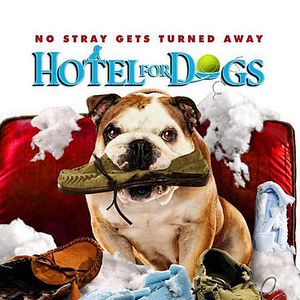 Bilder Das Hundehotel