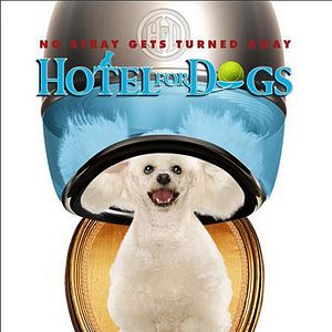 Bilder Das Hundehotel