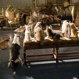 Bilder Das Hundehotel