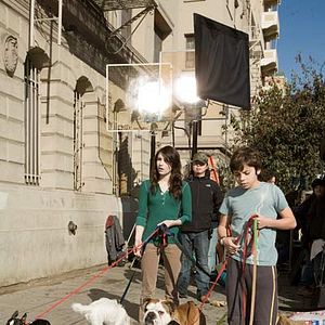 Bilder Das Hundehotel