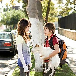 Bilder Das Hundehotel