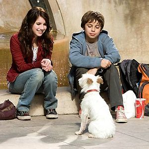 Bilder Das Hundehotel