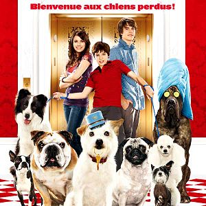 Bilder Das Hundehotel