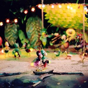 Bilder Maris Brinkmanis