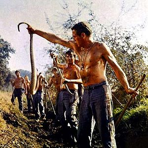 Bilder Der Unbeugsame