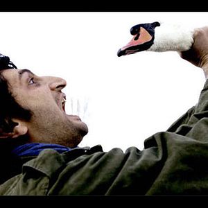 Bilder Arash T. Riahi