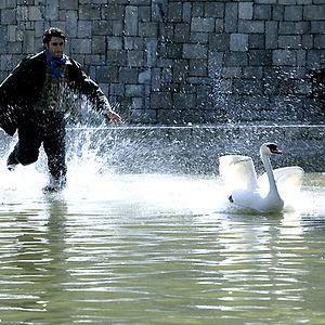 Bilder Arash T. Riahi