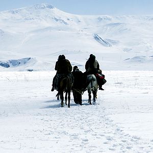 Bilder Arash T. Riahi