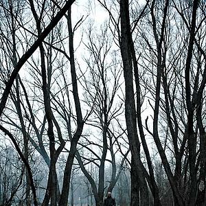 Bilder Antti-Jussi Annila