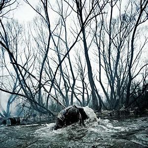 Bilder Antti-Jussi Annila