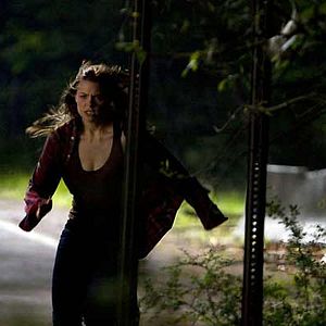 Bilder Patrick Lussier