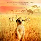 Bilder Wächter der Wüste