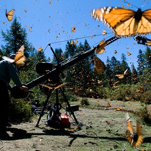 Bilder Louie Schwartzberg