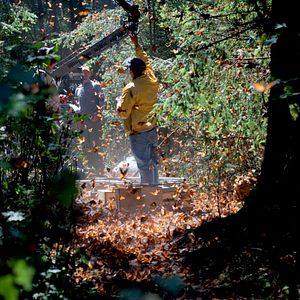 Bilder Louie Schwartzberg