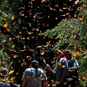 Bilder Louie Schwartzberg