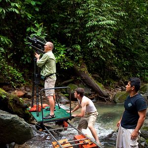 Bilder Wings of Life