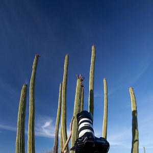 Bilder Louie Schwartzberg