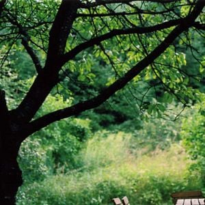 Bilder Thomas Arslan