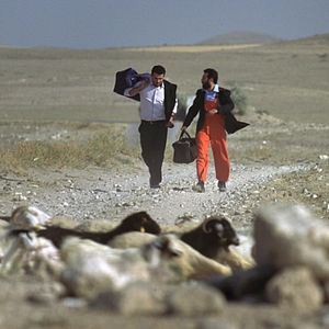 Bilder Tal der Wölfe 2 - Muro