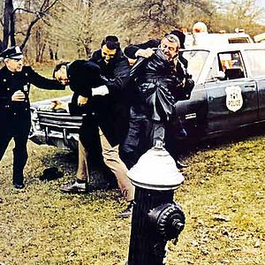 Bilder Brennpunkt Brooklyn