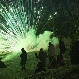 Bilder De Ofrivilliga