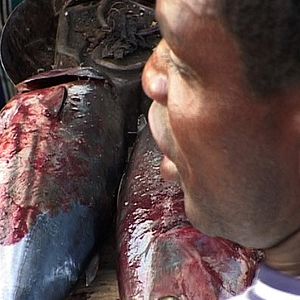 Bilder Agnès Fouilleux