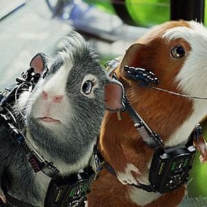 Bilder G-Force - Agenten mit Biss