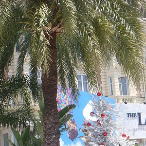 Bilder Disneys Eine Weihnachtsgeschichte