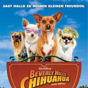 Bilder Beverly Hills Chihuahua